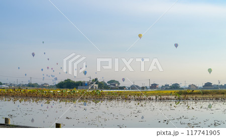 朝陽光芒に映えるバルーンフェスタ風景(朝雲と朝陽光芒・早朝に撮影素材)(田園周辺)佐賀県佐賀市 117741905