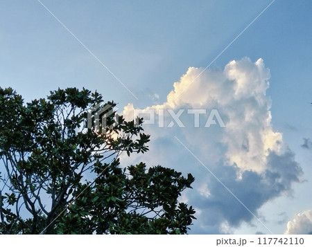 夏の空、公園からの風景 夏の空、公園からの風景 117742110