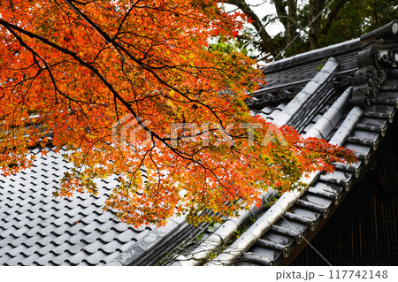 日本の秋　紅葉 117742148