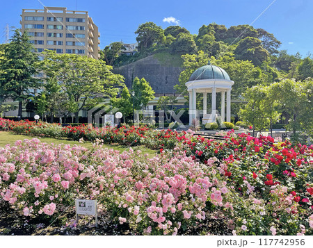 横須賀ヴェルニー公園　神奈川県横須賀市汐入町 117742956
