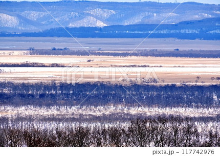 冬の釧路湿原の風景 117742976