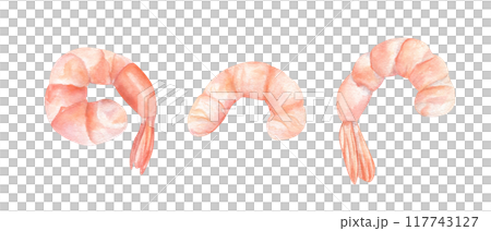Pink peeled shrimps watercolor illustration clip art. Three red boiled cooked tiger prawn set in realistic painting style. Seafood cooking ingredient for menu, recipe design, cookbooks Pink peeled shrimps watercolor illustration clip art. Three red boiled cooked tiger prawn set in realistic painting style. Seafood cooking ingredient for menu, recipe design, cookbooks 117743127