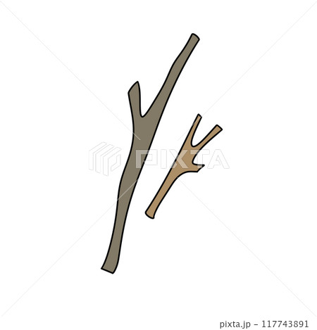 Two branches are shown, one is long and the other is short 117743891