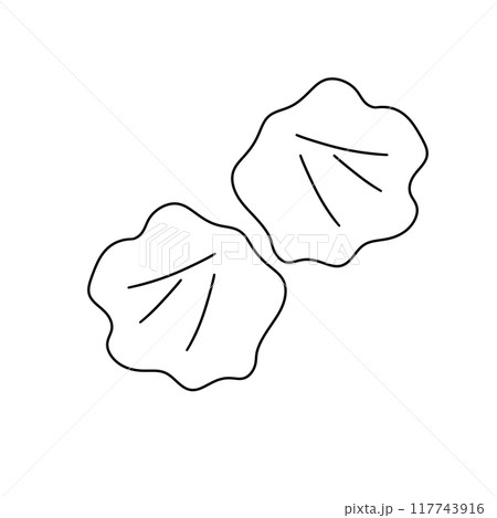 Two leaves are drawn in black and white 117743916
