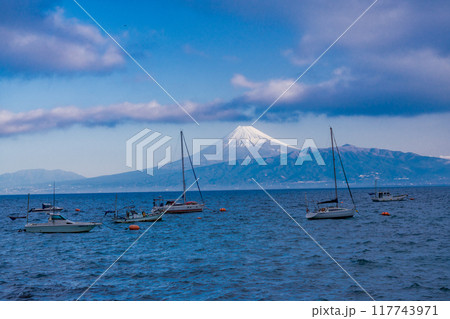 【静岡県】駿河湾に浮かぶヨットと富士山　早朝 117743971