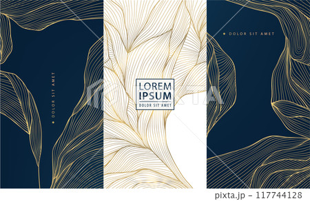 Vector set of gold floral patterns, line luxury frames, wedding background. Wine labels, ornaments, wave cards. Fancy royal design elements, vintage borders, elegant package 117744128