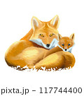 fox mother and child , watercolor painting 117744400