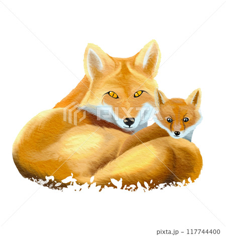 fox mother and child , watercolor painting fox mother and child , watercolor painting 117744400