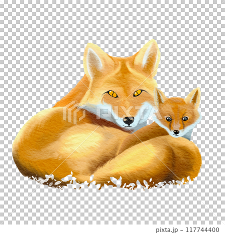 fox mother and child , watercolor painting fox mother and child , watercolor painting 117744400