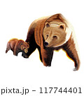 bear mother and child , watercolor painting 117744401