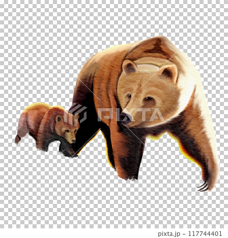 bear mother and child , watercolor painting 117744401