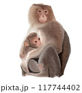 monkey mother and child , watercolor painting 117744402