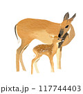 Sika Deer mother and child , watercolor painting 117744403
