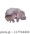 Hippopotamus mother and child , watercolor painting 117744404