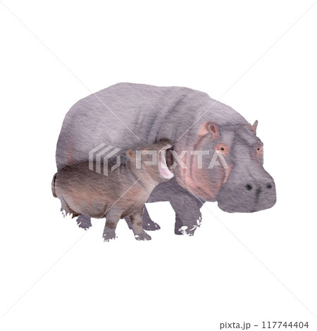Hippopotamus mother and child , watercolor painting 117744404