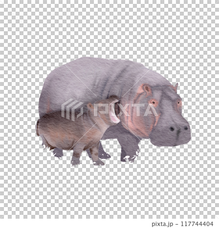 Hippopotamus mother and child , watercolor painting 117744404