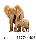 African elephant mother and child , watercolor painting 117744406