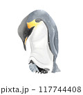 Emperor Penguin mother and child , watercolor painting 117744408