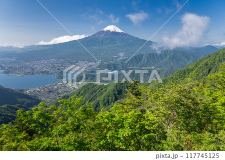《山梨県》富士山と河口湖を望む新道峠 117745125