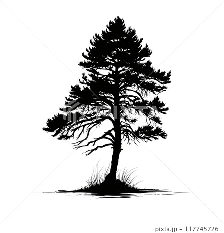 Black silhouette of a tree on white background. 117745726