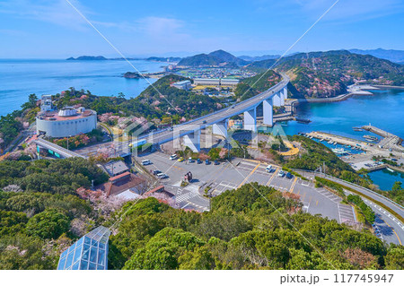 春の徳島県鳴門市の鳴門山展望台から神戸淡路鳴門自動車道(亀浦高架橋,大鳴門橋架橋記念館など)方面 117745947