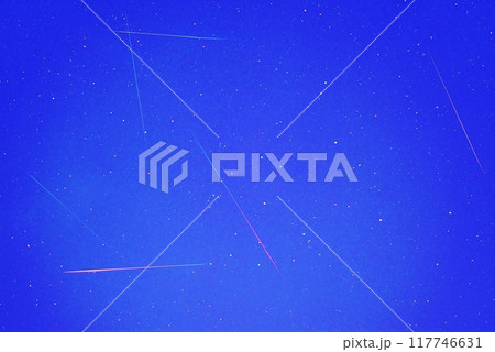 ペルセウス座流星群 117746631