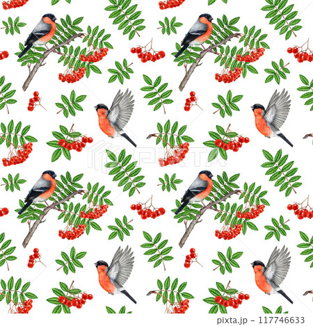 Bullfinch birds with rowan tree elements seamless pattern. Vintage style watercolor illustration. Hand drawn rowan red ripe berries, leaf, forest birds seamless pattern design on white background 117746633