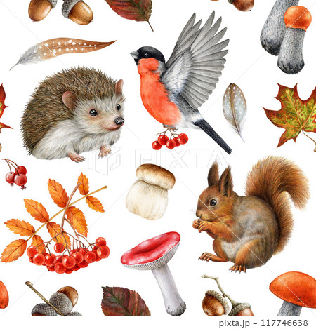 Vintage style seamless pattern with forest animals and natural elements. Watercolor painted illustration. Autumn season hedgehog, squirrel, forest mushrooms fallen leaves pattern on white background 117746638