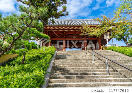 上之太子　叡福寺　参道と仁王門1　大阪府南河内郡太子町 117747616