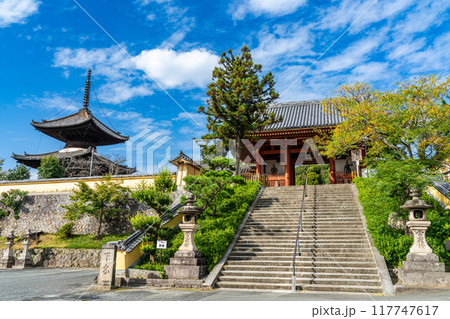 上之太子　叡福寺　参道と仁王門と多宝塔　大阪府南河内郡太子町 117747617