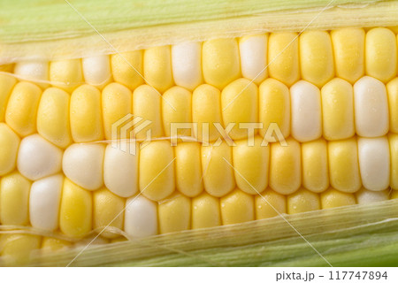 Fresh sweet corn (bicolor) texture background, Close up Fresh sweet corn (bicolor) texture background, Close up 117747894