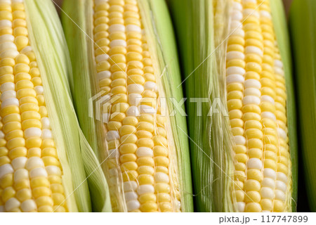 Fresh sweet corn (bicolor) texture background, Close up 117747899