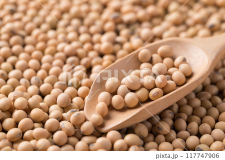 Soy bean seeds in wooden scoop with soy bean background Soy bean seeds in wooden scoop with soy bean background 117747906