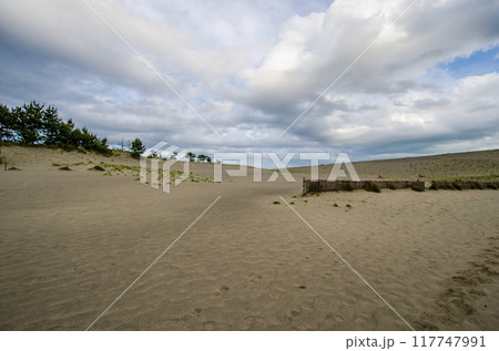 中田島砂丘 117747991
