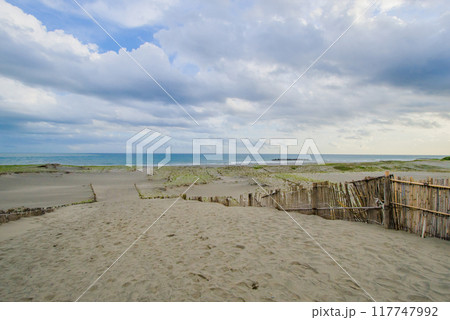 中田島砂丘 中田島砂丘 117747992