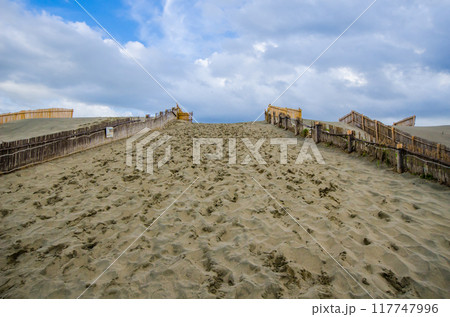 中田島砂丘 117747996