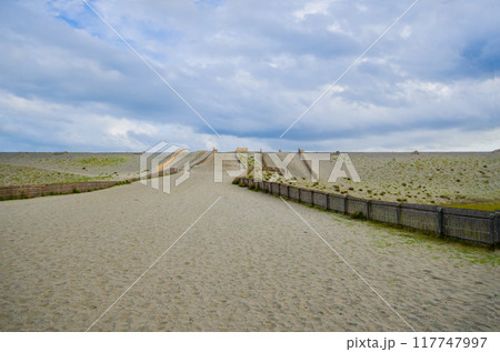 中田島砂丘 中田島砂丘 117747997
