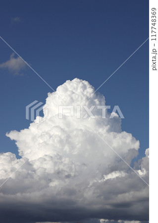 夏の青空と白い雲 117748369