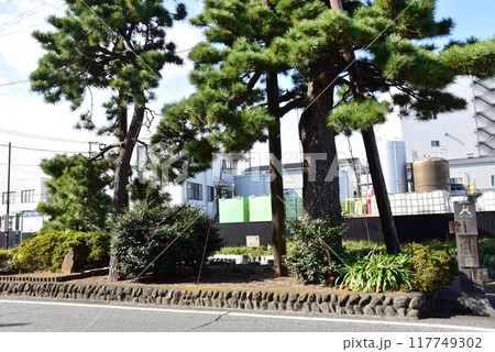 富士市 東海道名勝左冨士(旧東海道左冨士のマツ) 富士市 東海道名勝左冨士(旧東海道左冨士のマツ) 117749302