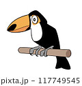 オニオオハシのイラスト 117749545