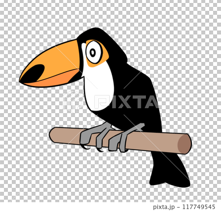 Illustration of toco toucan 117749545