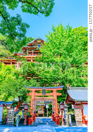 夏の祐徳稲荷神社　風鈴祭り　佐賀県鹿島市 117750257