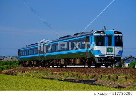 日中の運用が復活したキハ185系・うずしお 117750296