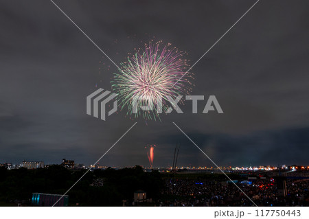 《東京都》江戸川(市川)花火大会・江戸川区から撮影 117750443