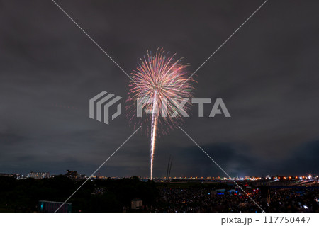 《東京都》江戸川(市川)花火大会・江戸川区から撮影 117750447