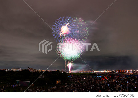 《東京都》江戸川(市川)花火大会・江戸川区から撮影 117750479