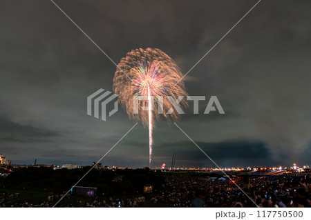 《東京都》江戸川(市川)花火大会・江戸川区から撮影 《東京都》江戸川(市川)花火大会・江戸川区から撮影 117750500