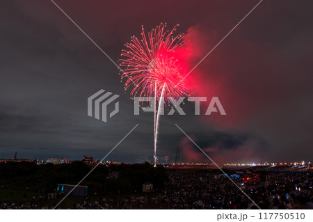 《東京都》江戸川(市川)花火大会・江戸川区から撮影 《東京都》江戸川(市川)花火大会・江戸川区から撮影 117750510