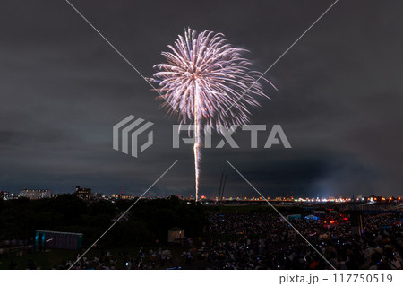 《東京都》江戸川(市川)花火大会・江戸川区から撮影 《東京都》江戸川(市川)花火大会・江戸川区から撮影 117750519