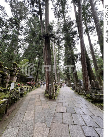高野山の奥の院 117750579